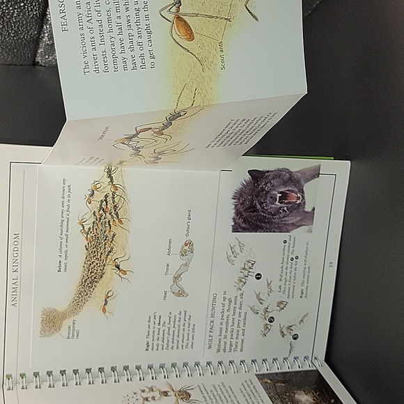 Set of Discovery Plus Children's Books - Picture 9 of 16